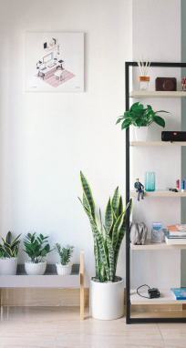 funirofurniture1