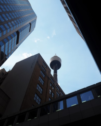 Image 10